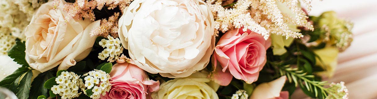 Fotografie - Květiny Cattleya - velkoobchod a maloobchod - květiny, rostliny, bytové dekorace - Jesenice, České Budějovice, Praha